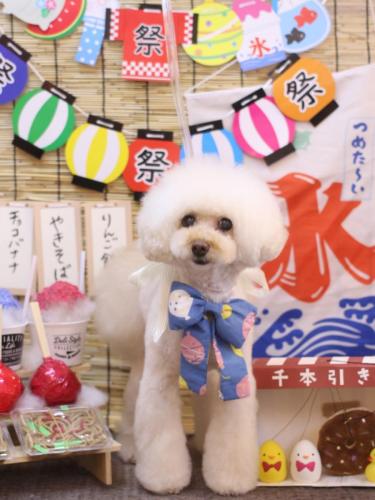 20240718ピッピちゃん